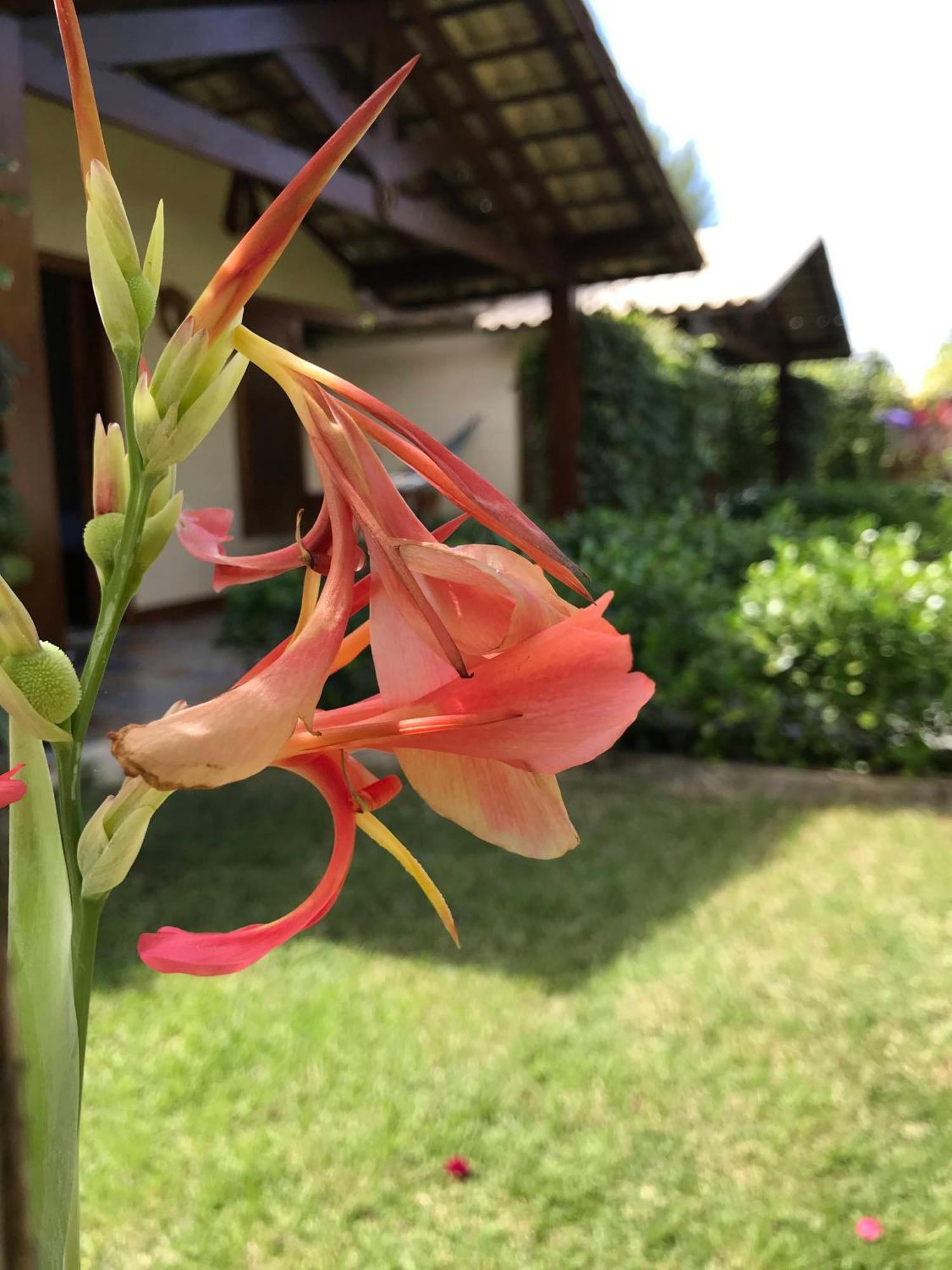 Pousada Rancho Paraiso Pôrto de Pedras Buitenkant foto