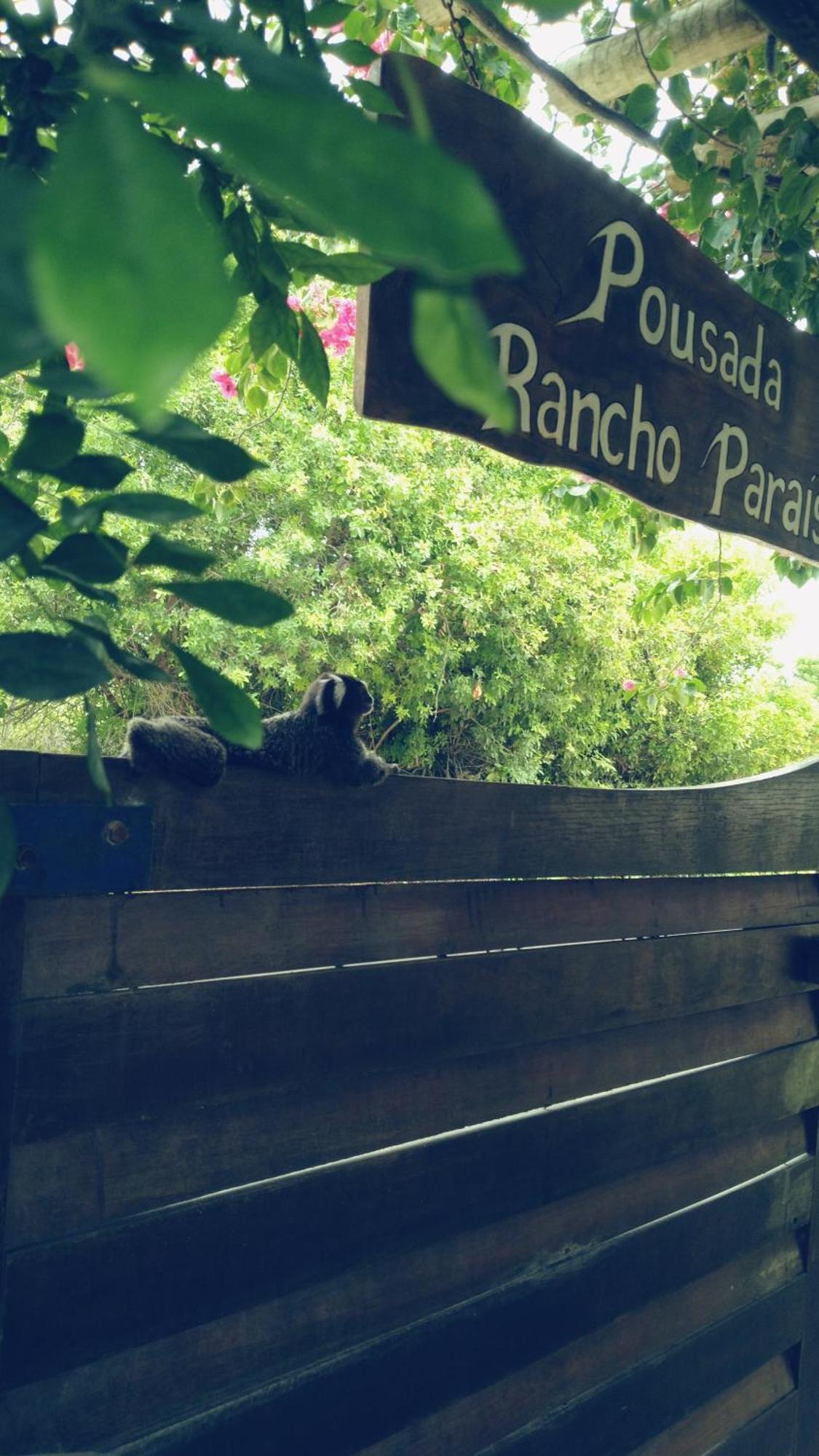 Pousada Rancho Paraiso Pôrto de Pedras Buitenkant foto